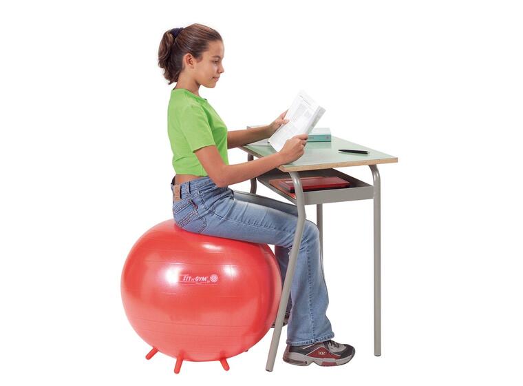 Sitteballer Sit`n Gym 55 cm Rød (12) 12 populære sitteballer 